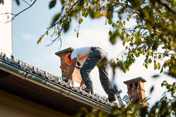 Best Roofing Contractor Near Me  in Middleport, NY